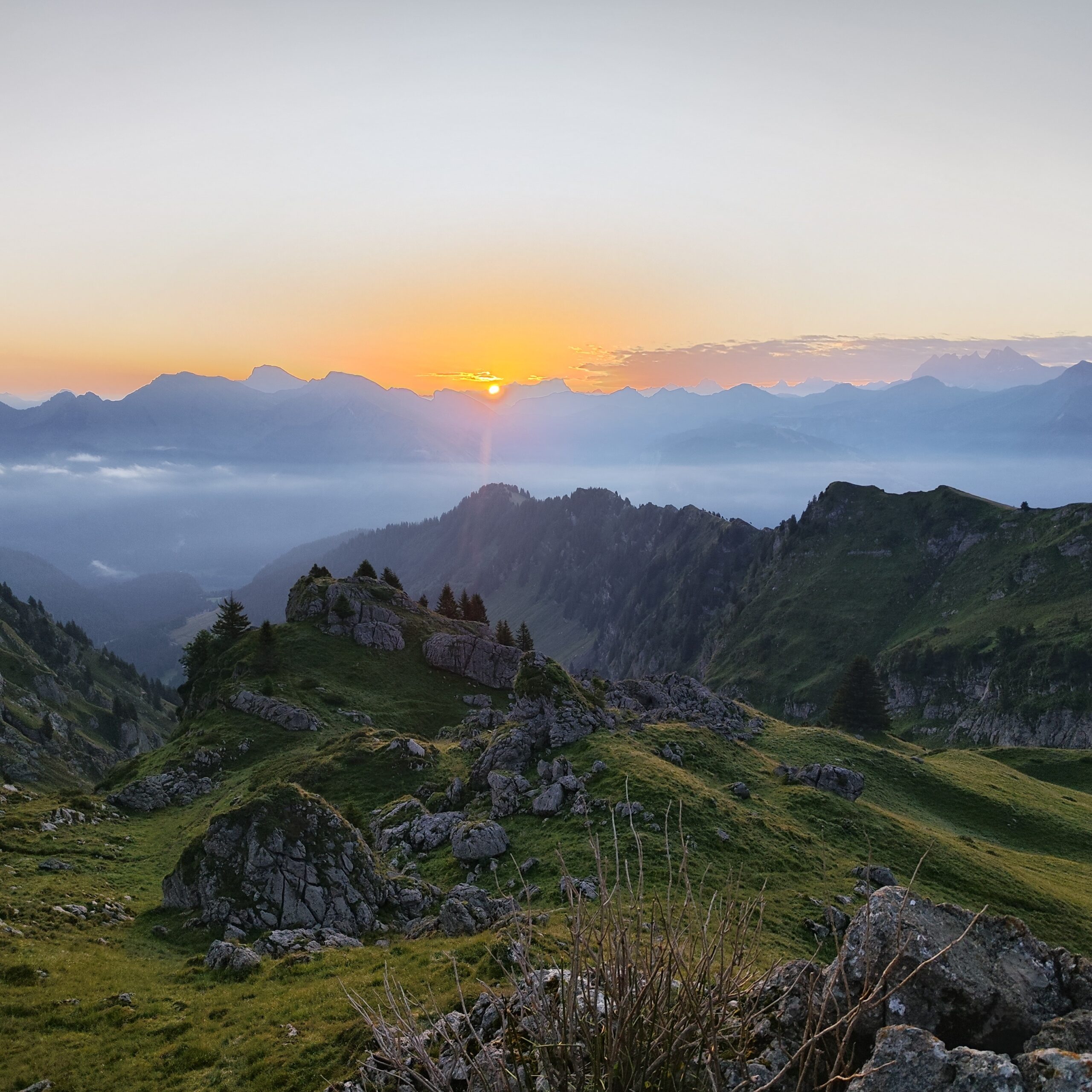 L'objectif de notre agence web à Colmar: propulser votre marque au sommet