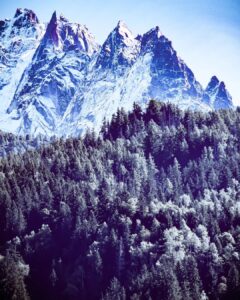 Snapinsta.app_464008546_2899480550190204_5677643253660967009_n_1080