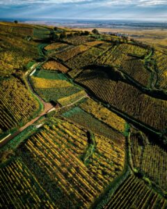 Snapinsta.app_464841500_904602371618643_4977574335520520285_n_1080