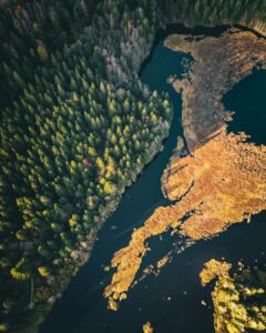 Snapinsta.app_464994084_1085415099956376_3326078932161274037_n_1080